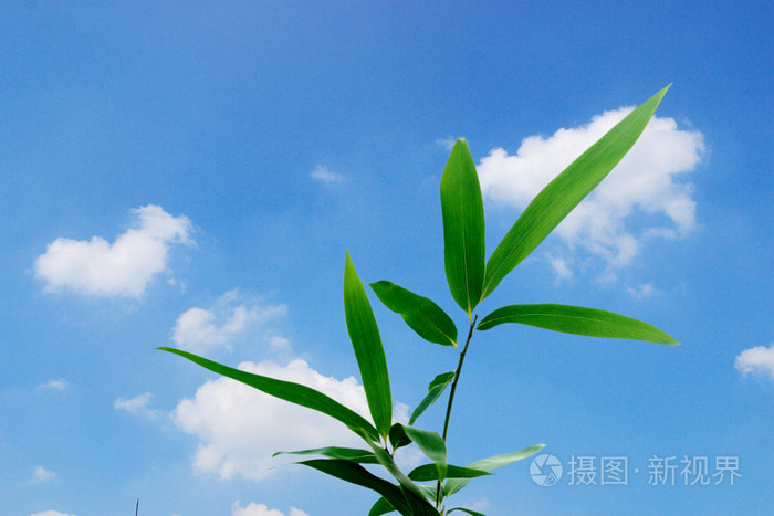 国内精品视频,久久精品自慰流水喷白浆免费,anpc澳妝網